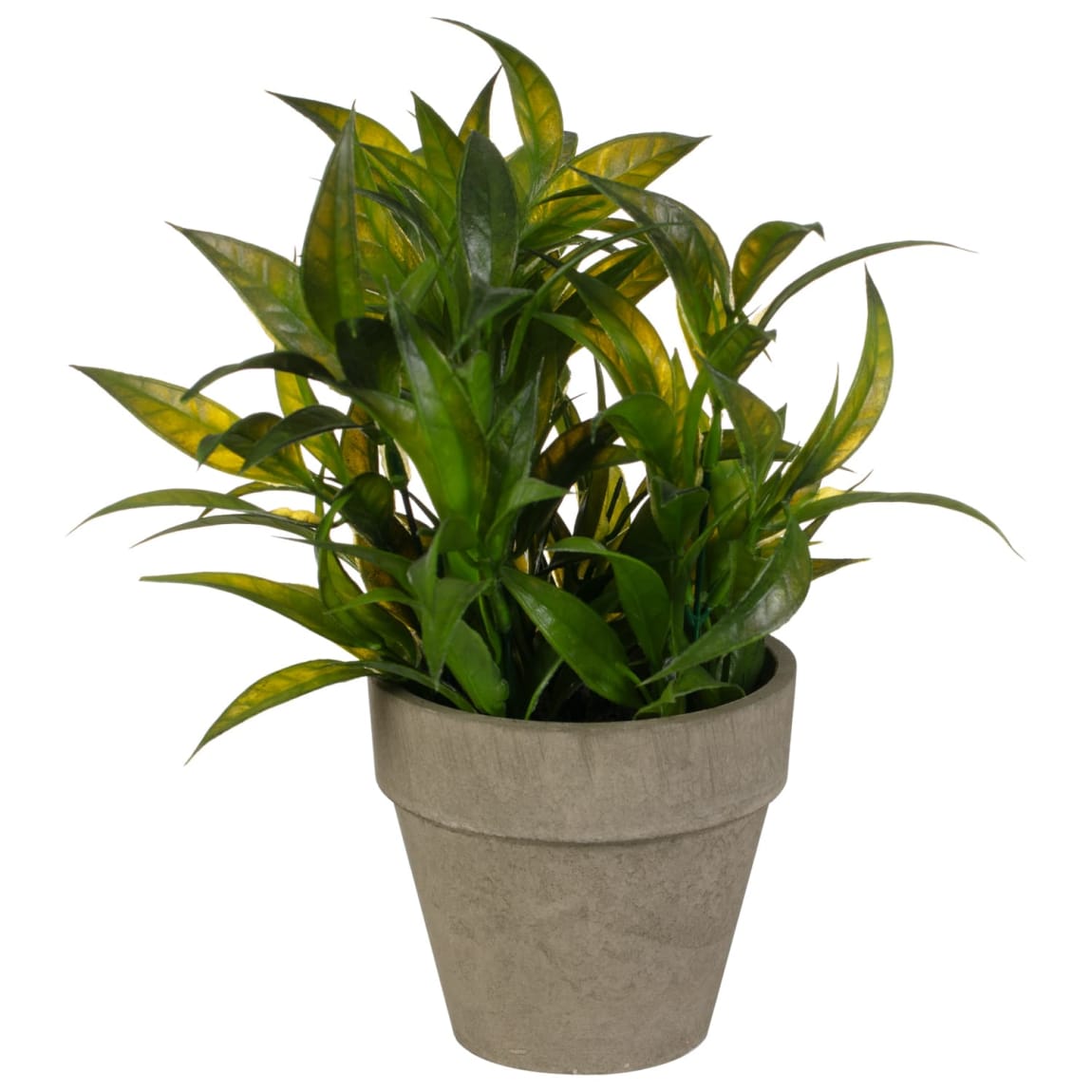 Greenery in Cement Pot