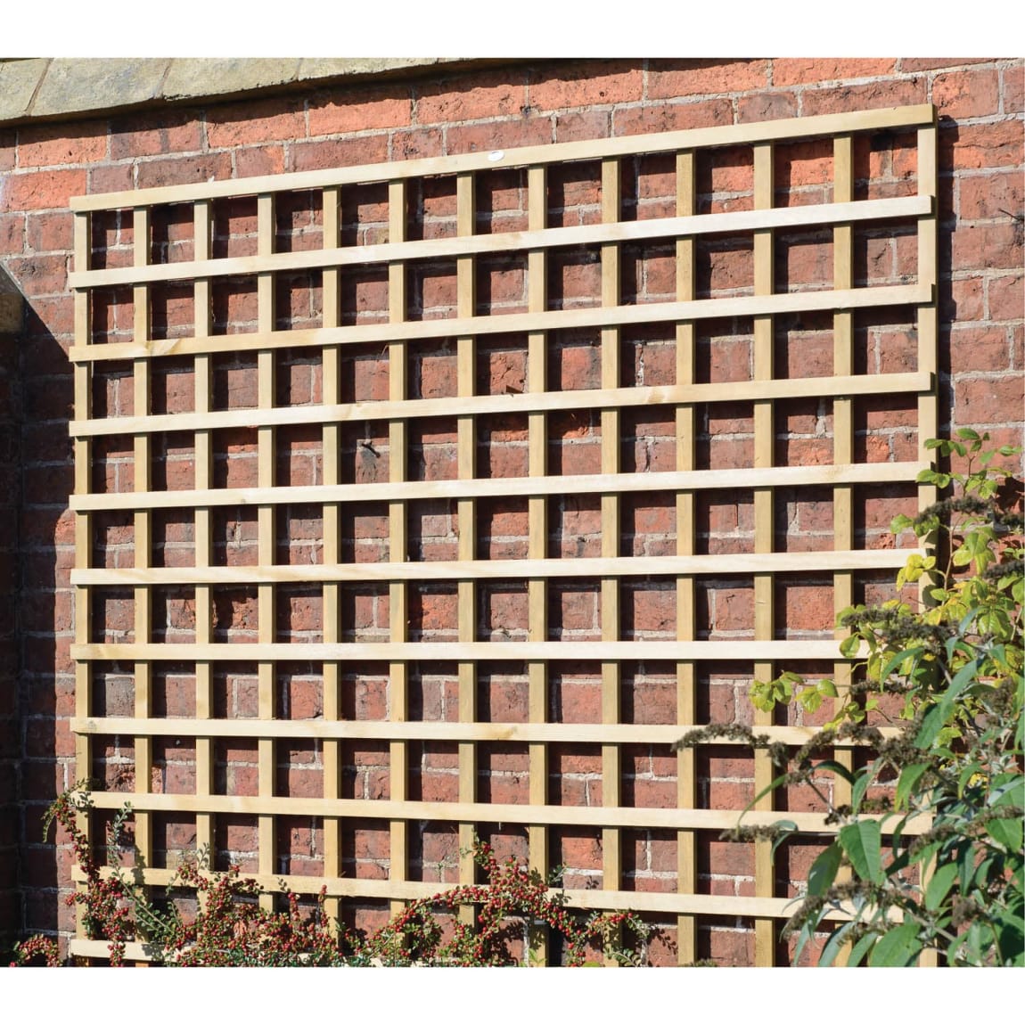 Heavy Duty Trellis 1.81m