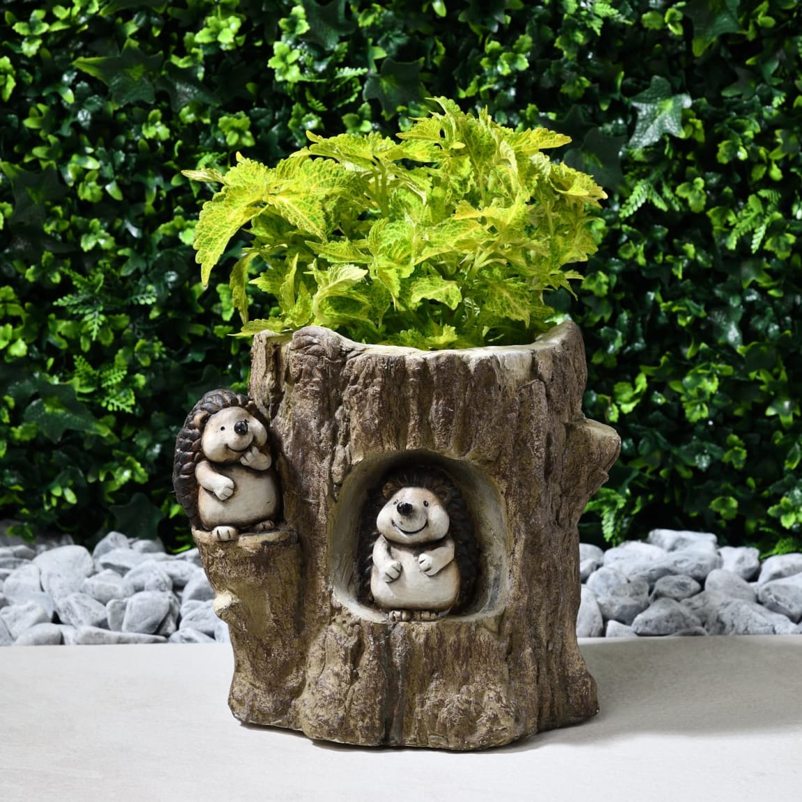 Large Hedgehog Planter