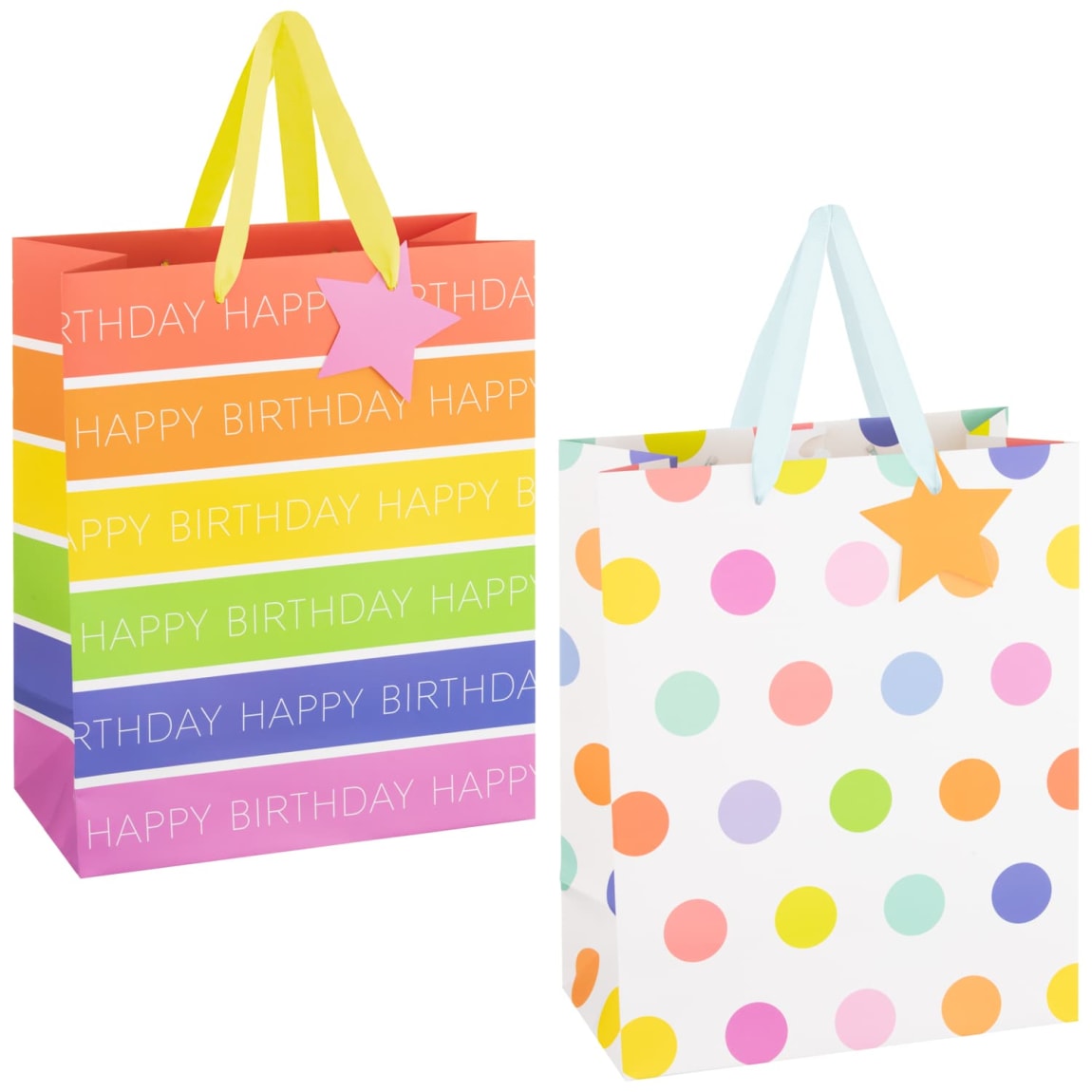Large Gift Bags 2pk - Rainbow