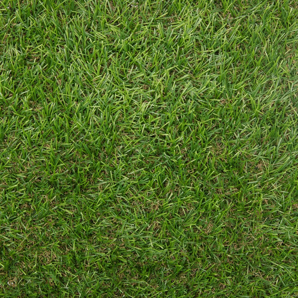 Artificial Grass Roll 1 x 4m