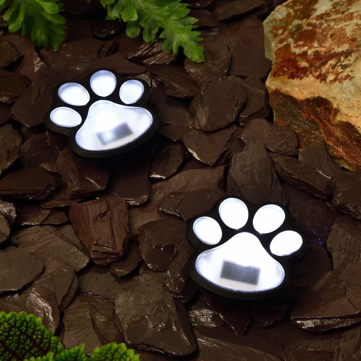 Solar Paw Print Ground Light - Cool White