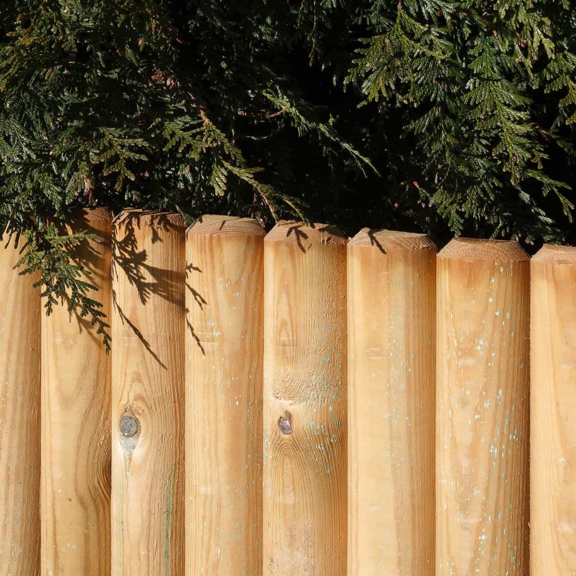 Border Fixed Edge 1m x 30cm