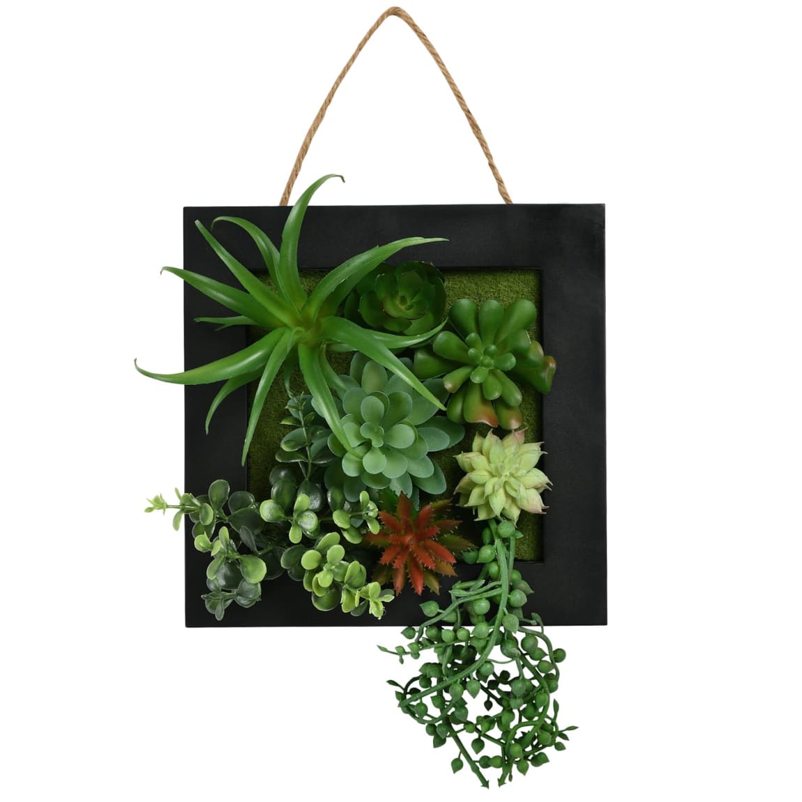 Framed Foliage