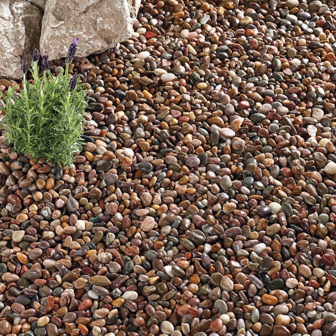 Caledonian Pebbles 750kg - Bulk Bag