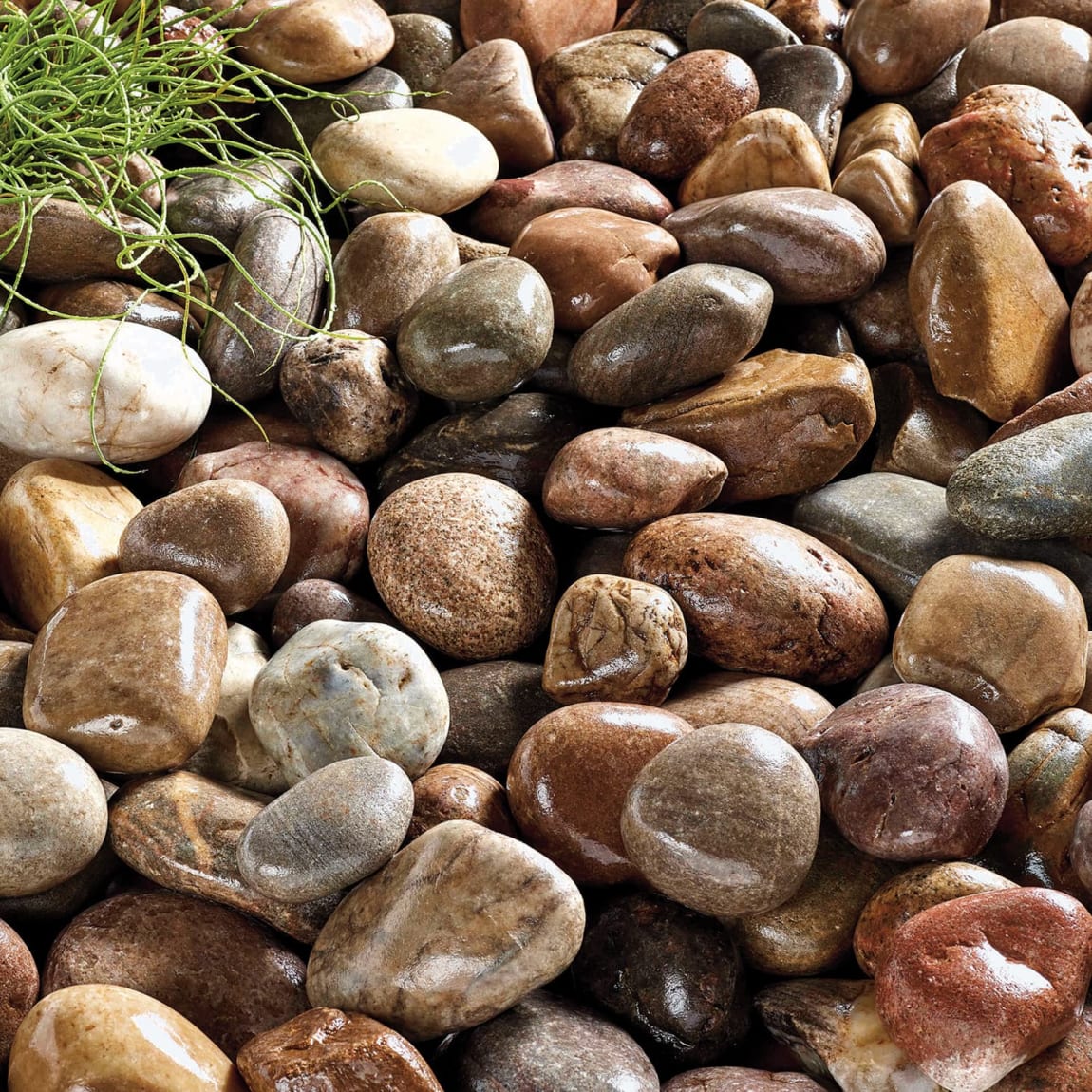Large Beach Cobbles 750kg - Bulk Bag