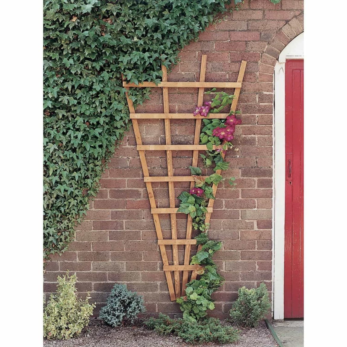 Heavy Duty Fan Trellis 1.83m
