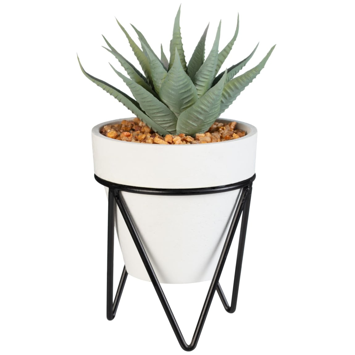 Succulent On Stand
