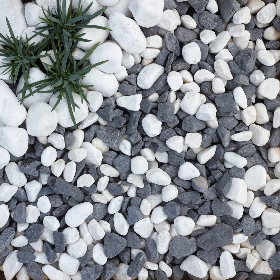 Moonlight Pebbles Bulk Bag