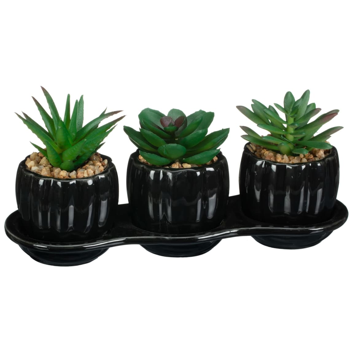 Ceramic Tray Of 3 Succulents - Black