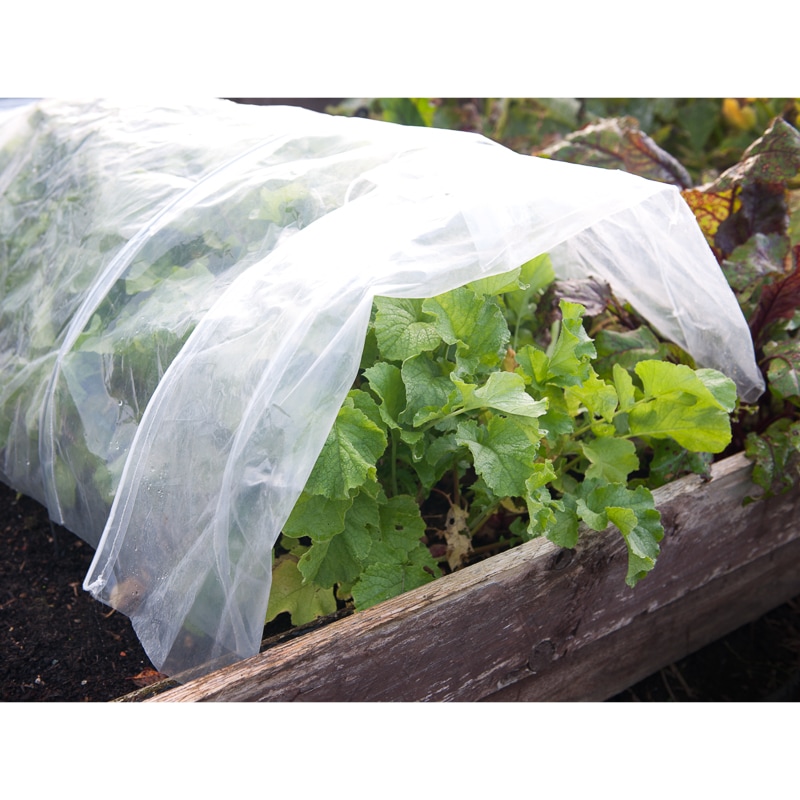 Poly Cover Grow Tunnel 3m
