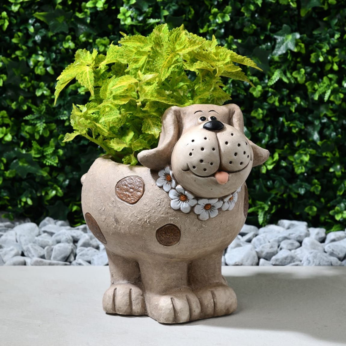 Large Dog Planter