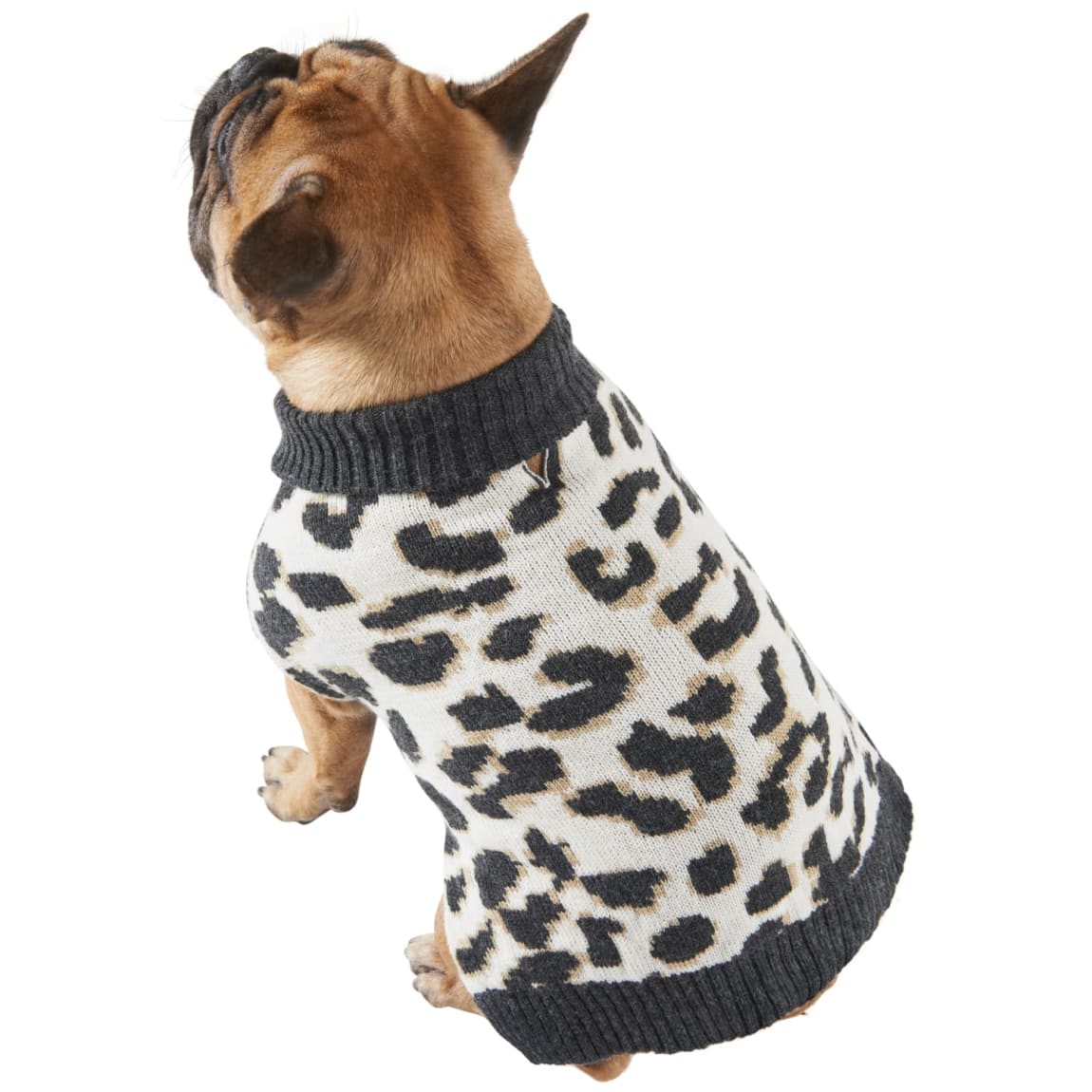 Perfect Paws Dog Jumper Small - Assorted