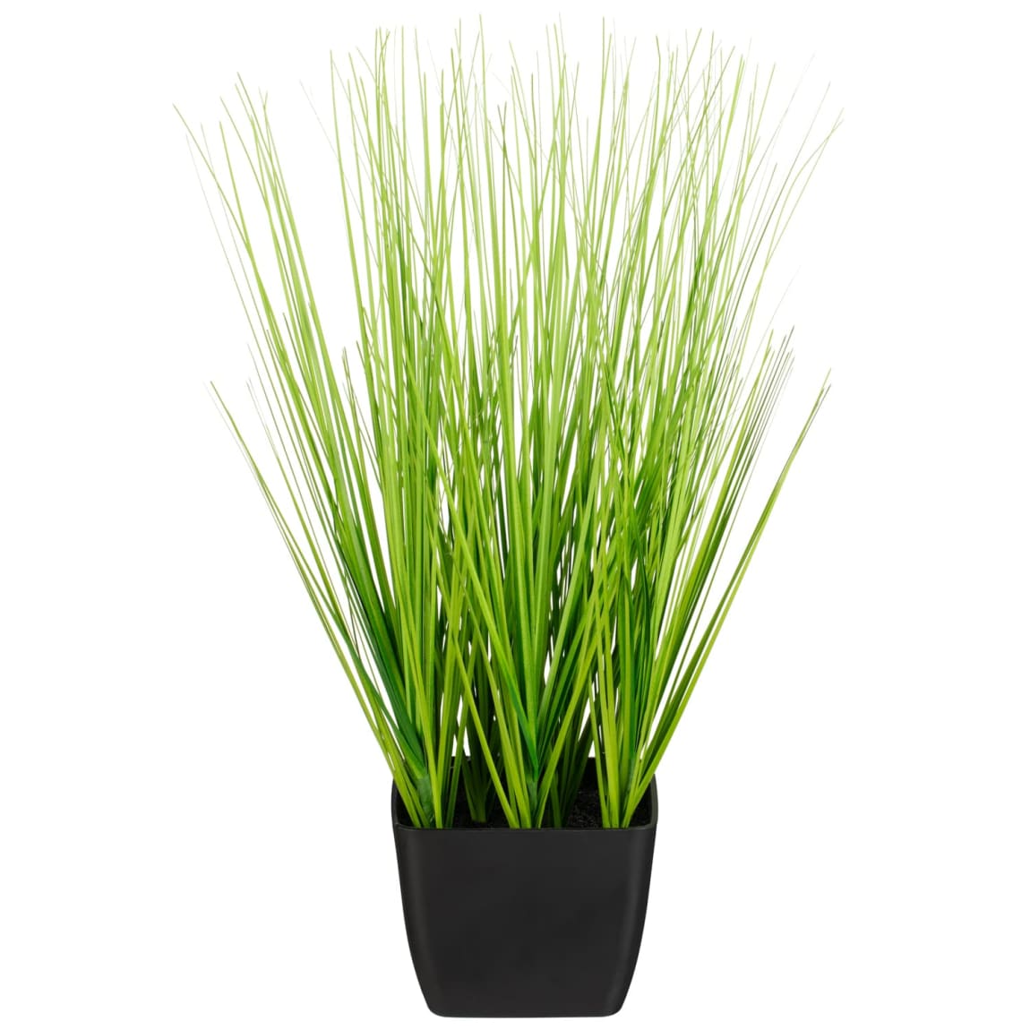 Grass In Pot - Black