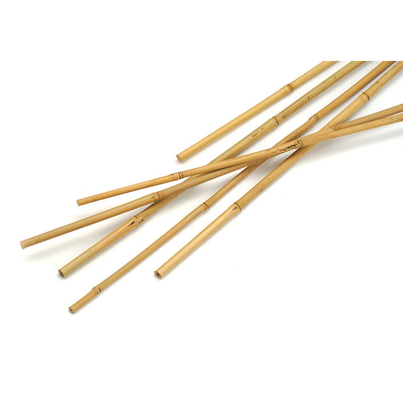 Bamboo Canes 4ft 10pk
