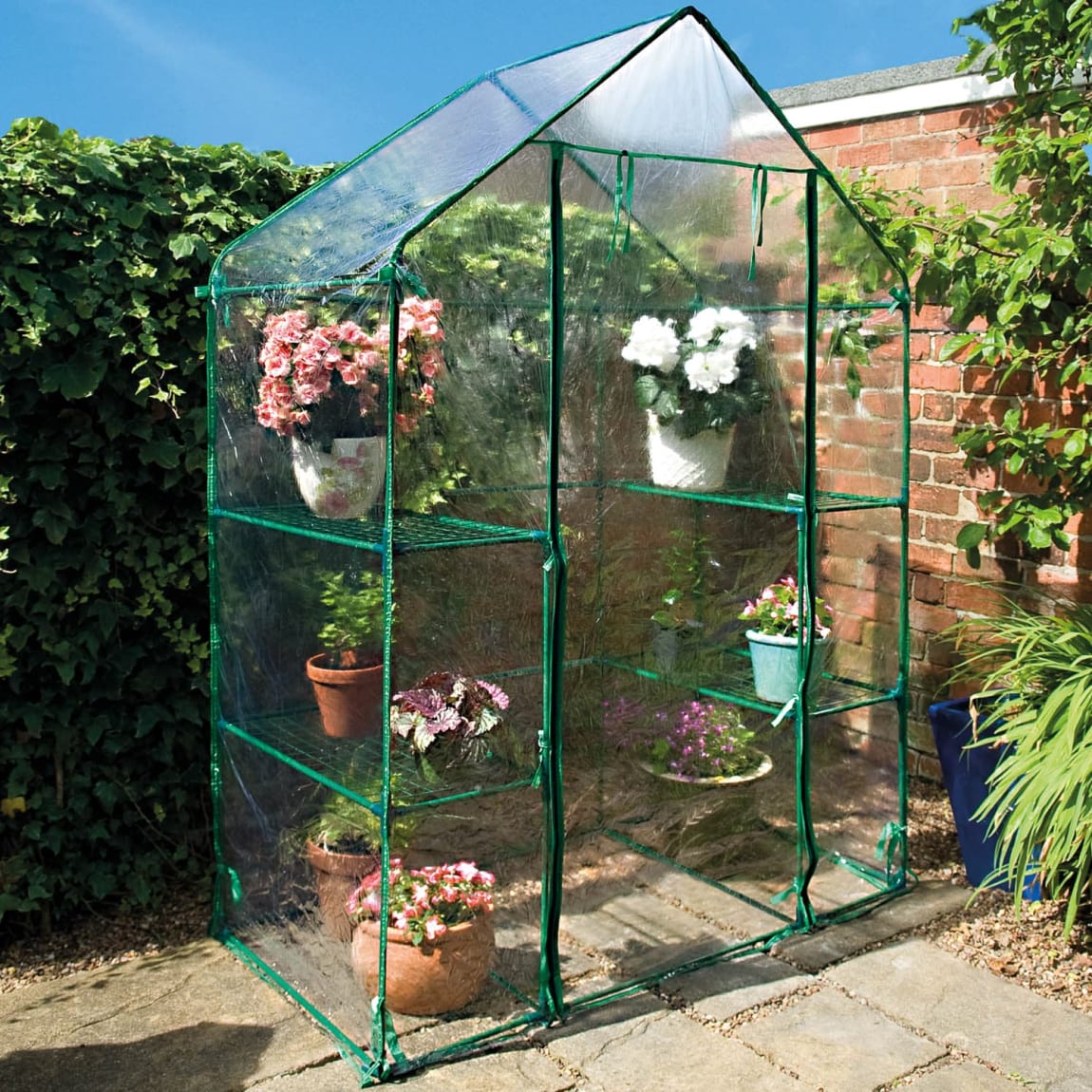 Walk-In Greenhouse